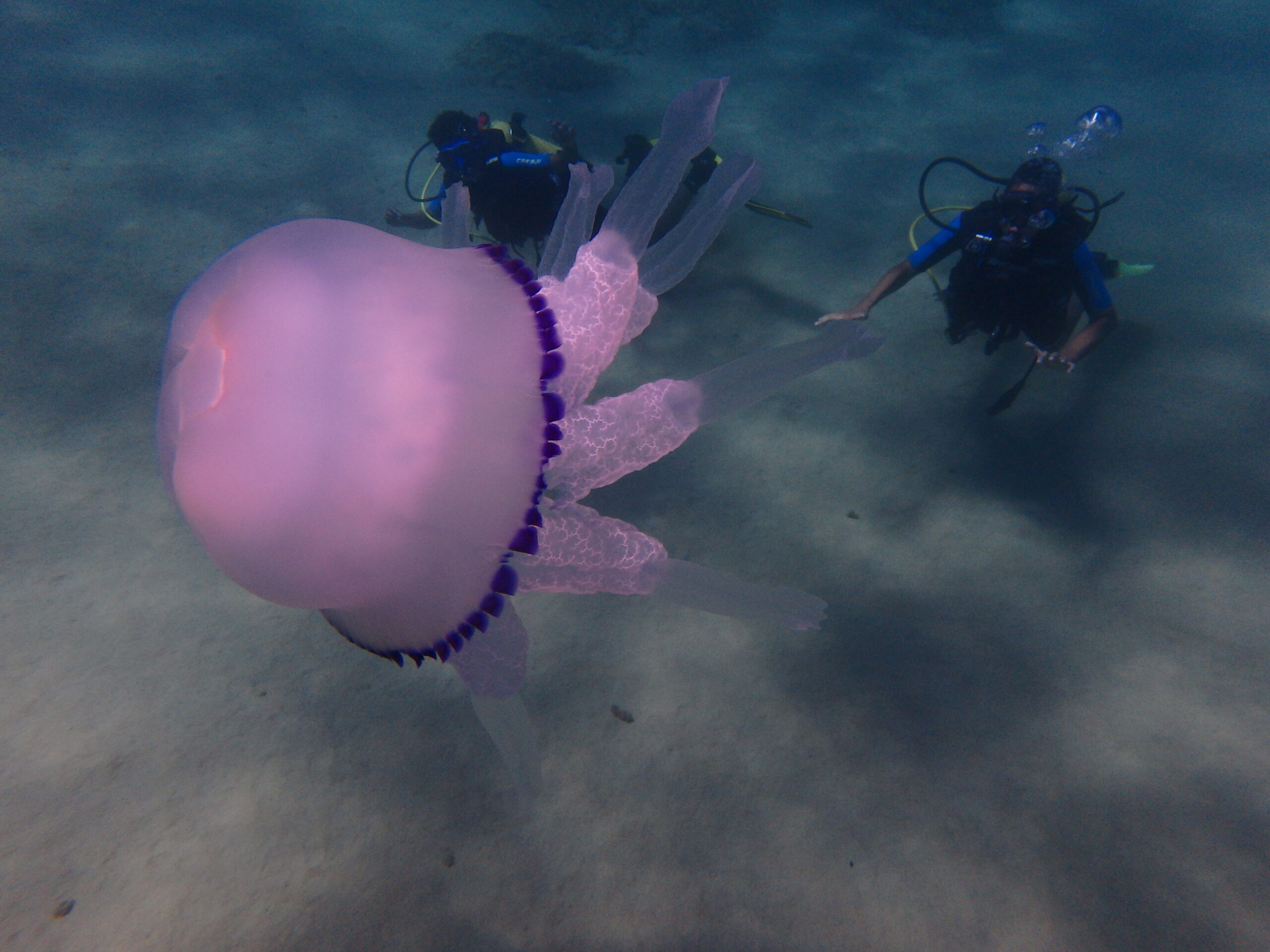 Buceo Lloret de Mar